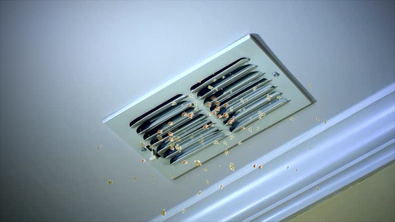 Best Local Air Duct Cleaning Services  in Bel Air North, MD