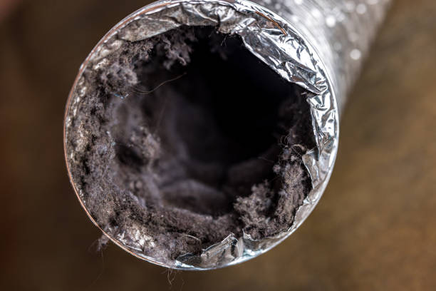 Best Professional Duct Cleaning Services  in Bel Air North, MD