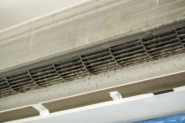 Best Air Quality Test  in Bel Air North, MD